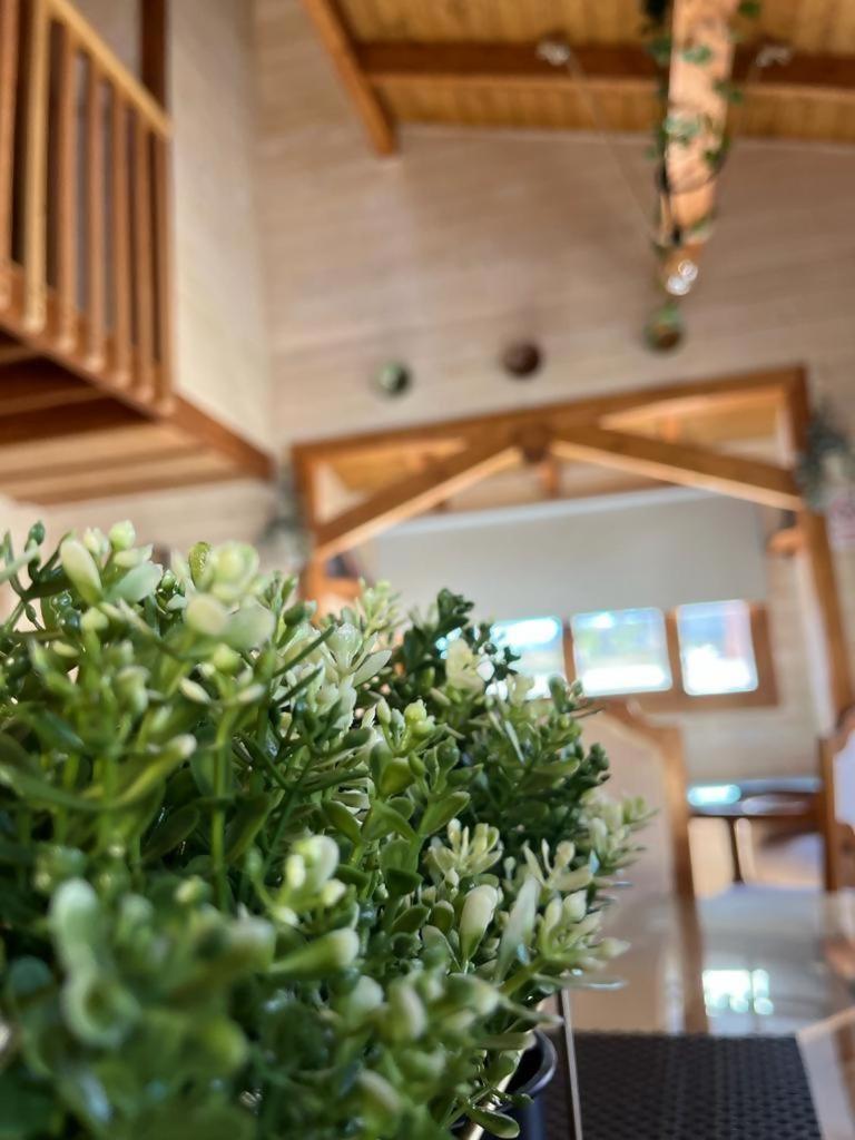 Luxury Rural Cuenca Villas Værelse billede